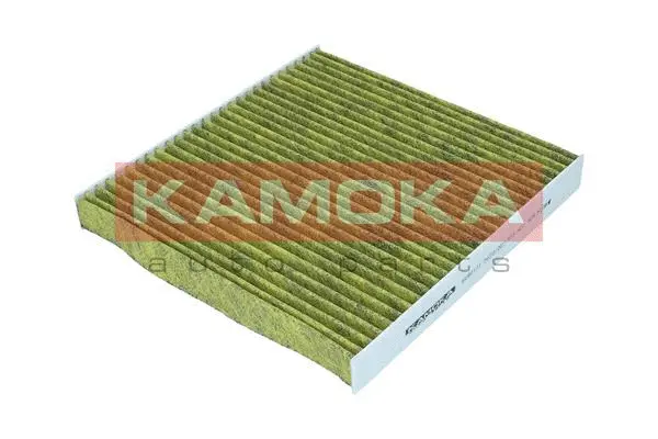 Filter, cabin air (6080171)
