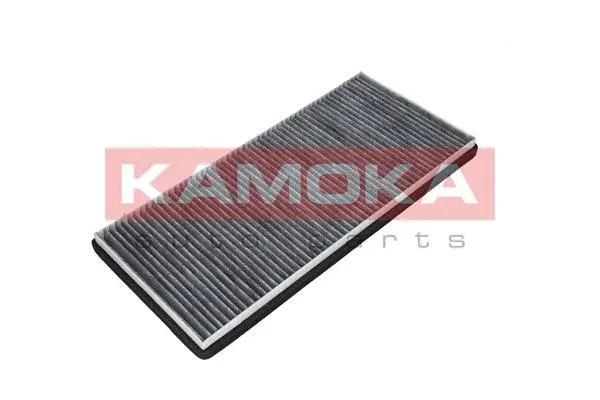 Filter, cabin air (F508501)