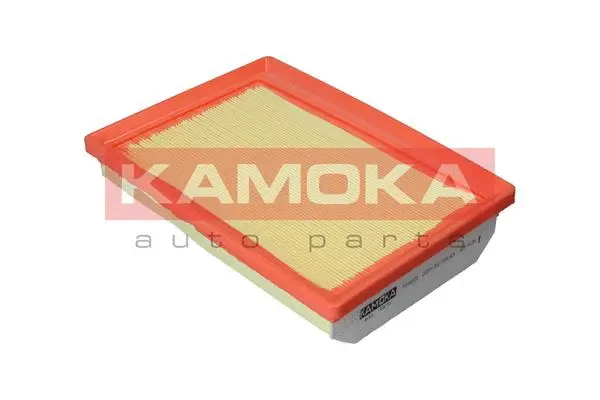 Air Filter (F244201)