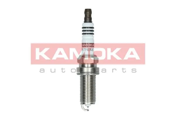 Spark Plug (7100021)