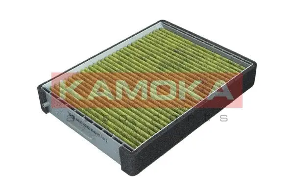 Filter, cabin air (6080137)