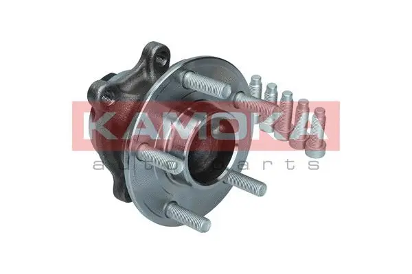 Wheel Bearing Kit (5500242)