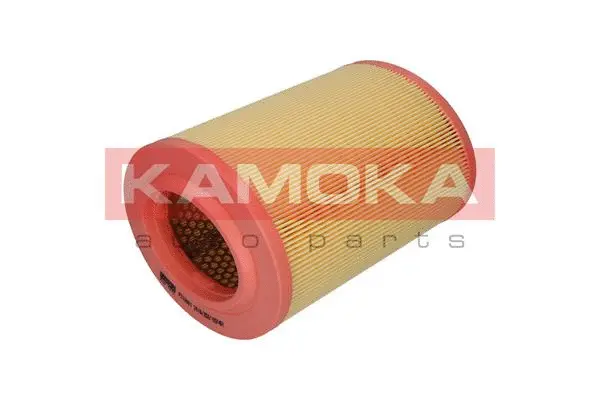Air Filter (F213901)