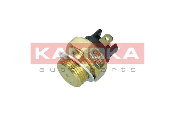 Temperature Switch, radiator fan (4090024)