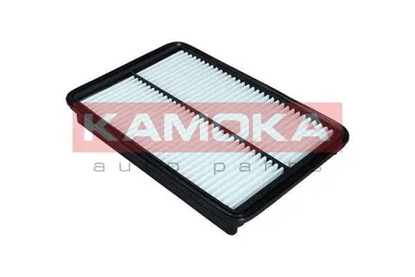 Air Filter (F238801)