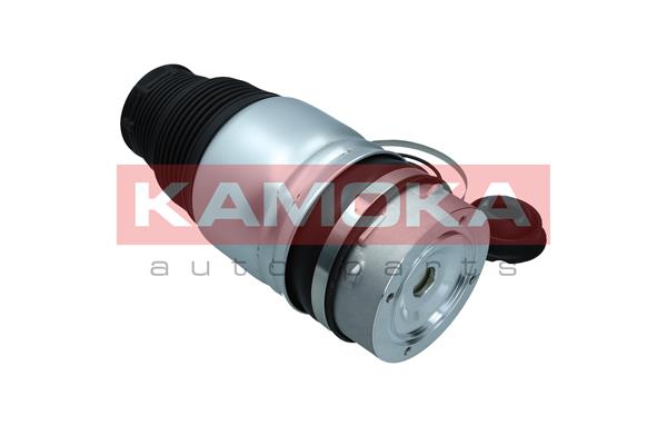 Air Spring, suspension (2079008)