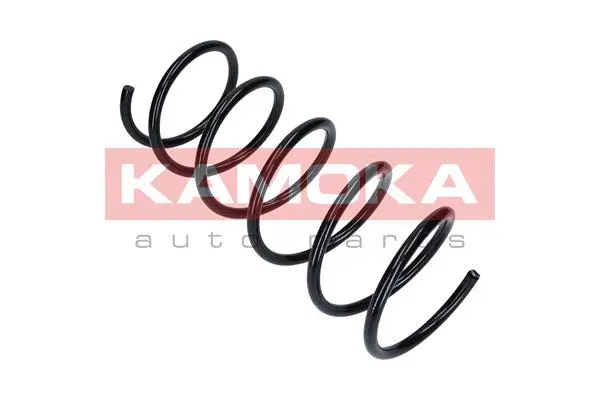 Suspension Spring (2110025)