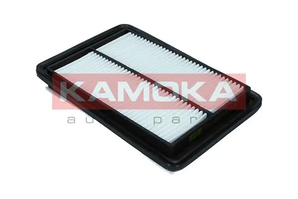 Air Filter (F247601)