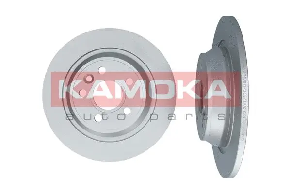 Brake Disc (1031013)