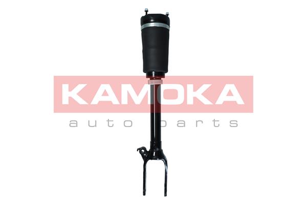 Air Suspension Strut