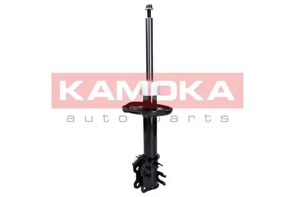 Shock Absorber (2000009)