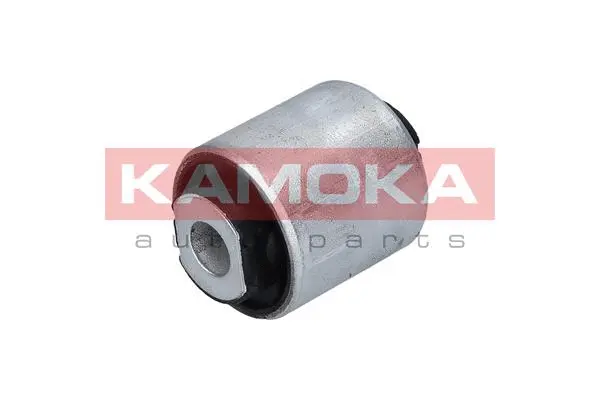 Mounting, control/trailing arm (8800113)