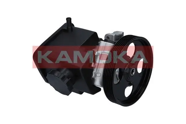 Hydraulic Pump, steering (PP134)