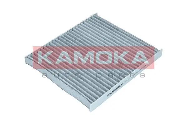 Filter, cabin air (F510101)