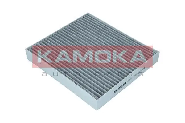 Filter, cabin air (F513801)