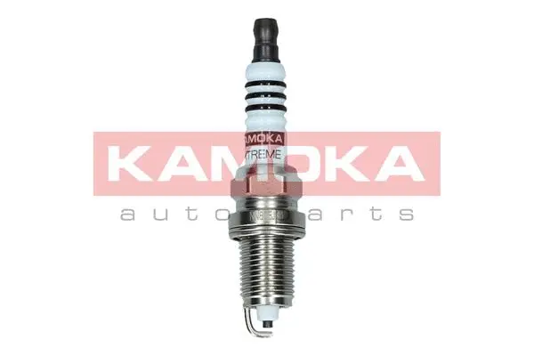 Spark Plug (7090542)
