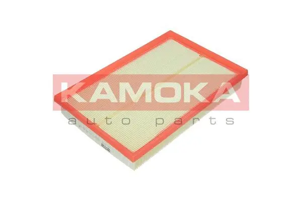 Air Filter (F203001)