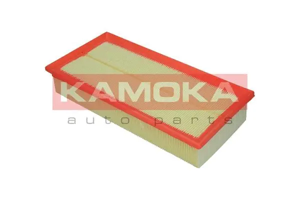 Air Filter (F201701)