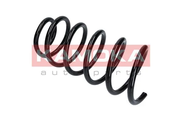Suspension Spring