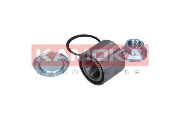 Wheel Bearing Kit (5600048)