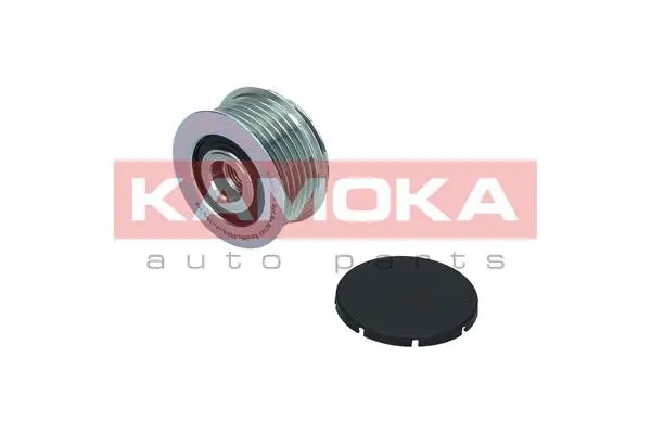 Alternator Freewheel Clutch