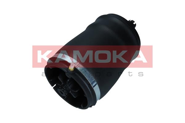 Air Spring, suspension (2079031)