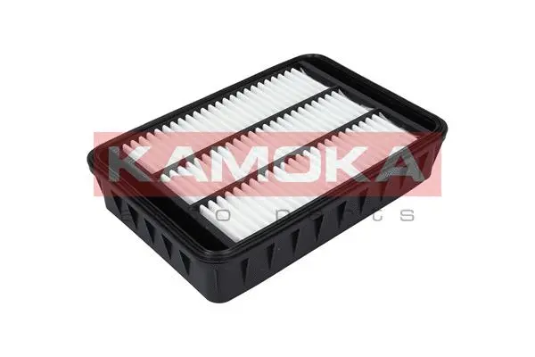 Air Filter (F227601)