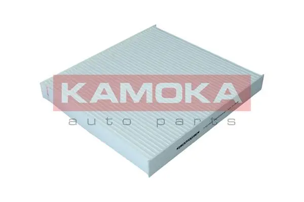 Filter, cabin air (F421901)