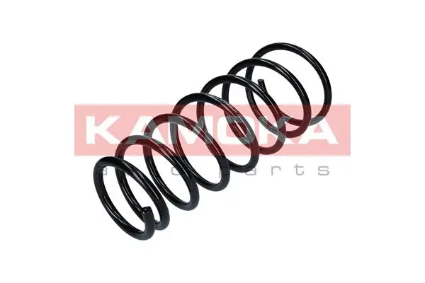 Suspension Spring (2120232)