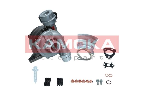 Charger, charging (supercharged/turbocharged) (8600064)