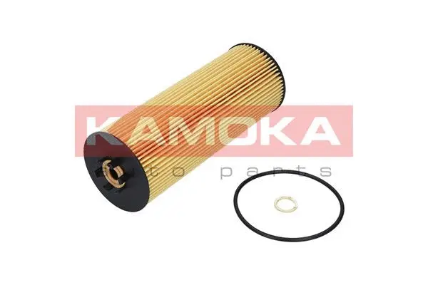 Oil Filter (F105501)