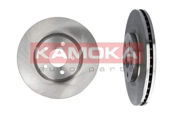 Brake Disc (103105)