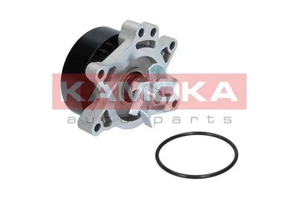Water Pump, engine cooling (T0263)