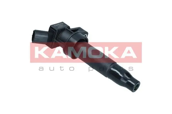 Ignition Coil (7120062)