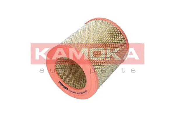 Air Filter (F235901)