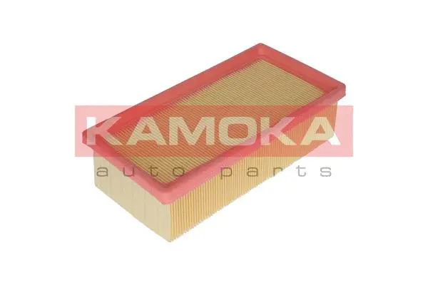 Air Filter (F235301)