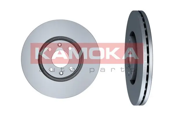 Brake Disc (103261)