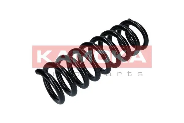 Suspension Spring (2120176)