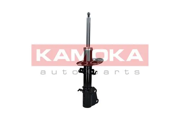 Shock Absorber