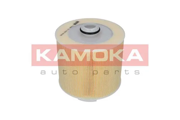 Air Filter (F236801)
