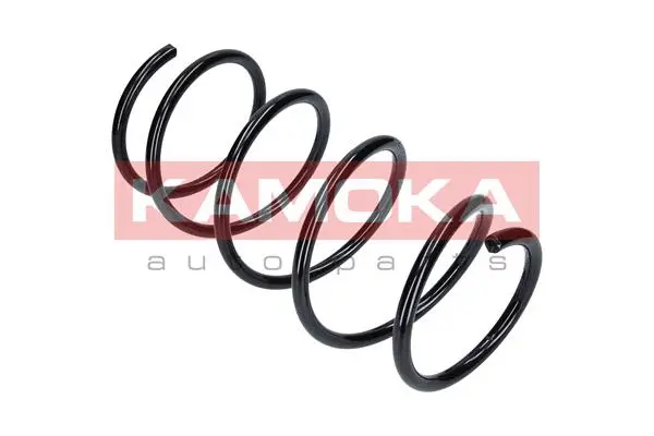 Suspension Spring