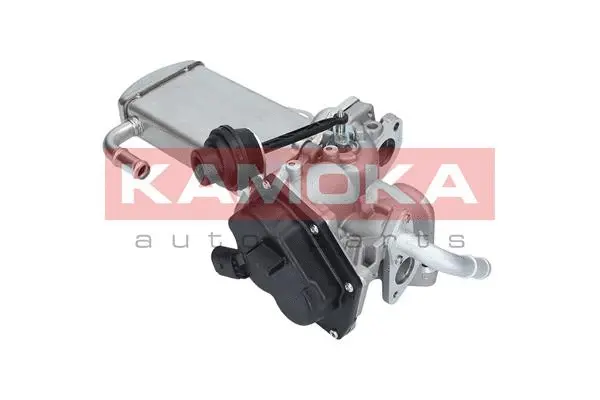 EGR Module