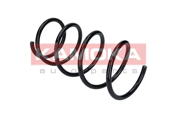 Suspension Spring