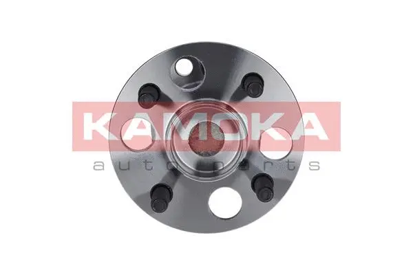 Wheel Bearing Kit (5500089)