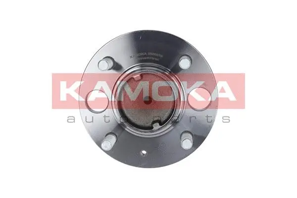 Wheel Bearing Kit (5500075)