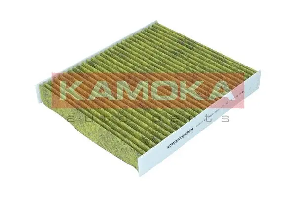 Filter, cabin air (6080143)
