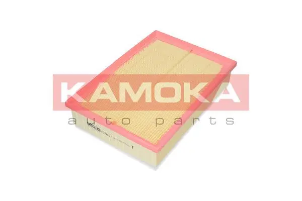 Air Filter (F229501)