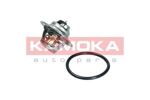 Thermostat, coolant (7710095)