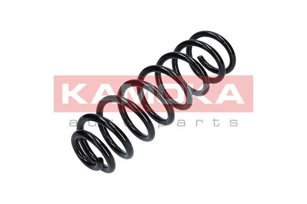 Suspension Spring (2120211)