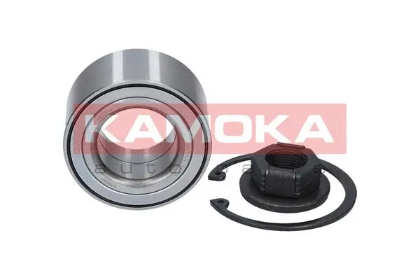 Wheel Bearing Kit (5600014)